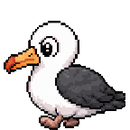 Albatros