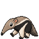 Tamanoir
