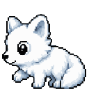 Renard polaire