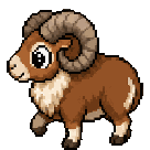 Mouflon