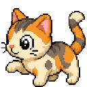 Calico