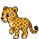 Guépard