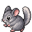 Chinchilla