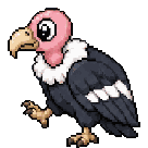 Condor