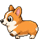 Corgi