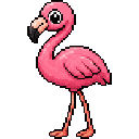 Flamant rose