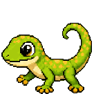 Gecko