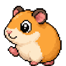 Hamster