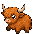 Vache Highland