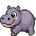 Hippopotame