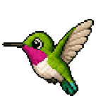 Colibri