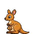 Kangourou