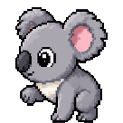 Koala