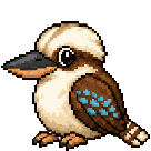 Kookaburra