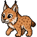 Lynx