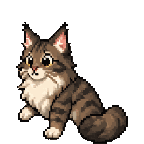 Maine Coon