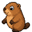 Marmotte