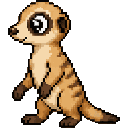 Suricate