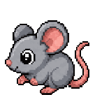 Souris
