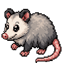 Opossum