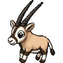 Oryx