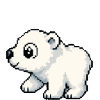 Ours polaire