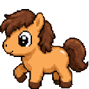 Poney