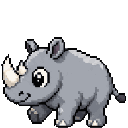 Rhinocéros