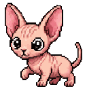 Sphynx