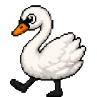 Cygne