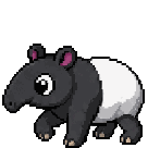 Tapir