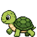 Tortue