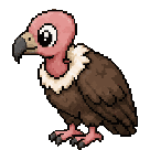 Vautour